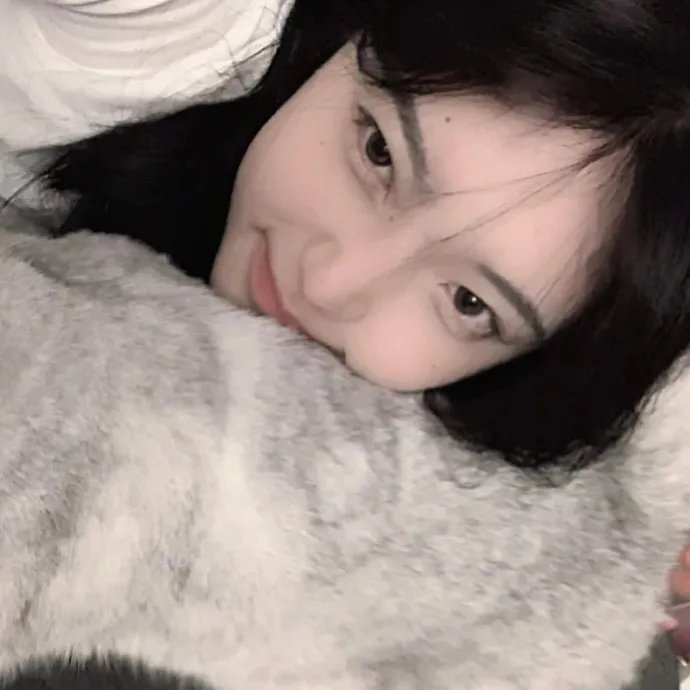 姜戈与姜戈 海报